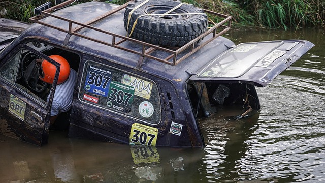 也是勇士队 也是勇士队