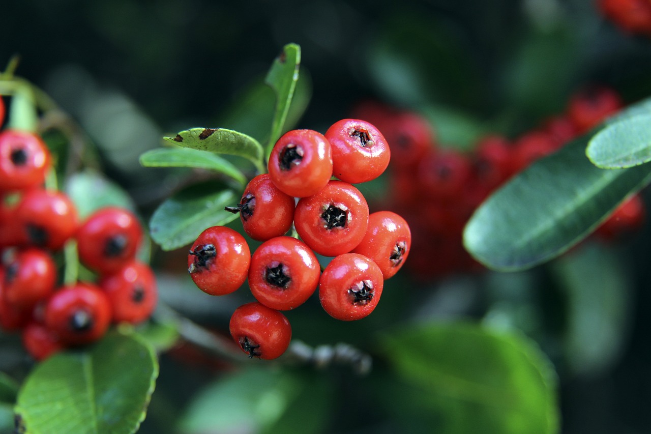 直接影响 直接影响