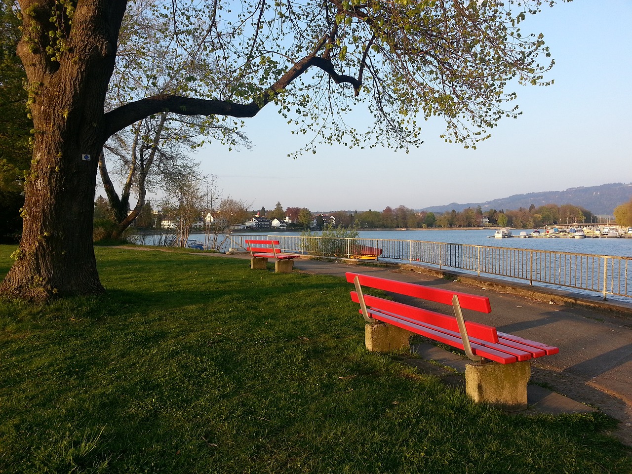 度形成了一 度形成了一