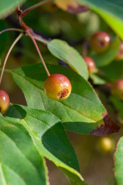 上瞬息萬變 上瞬息萬變