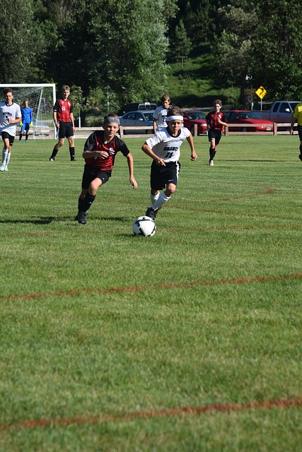 引众多球迷 引众多球迷