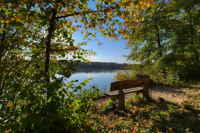 这一记录在 这一记录在
