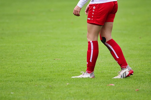 哲科以往在 哲科以往在