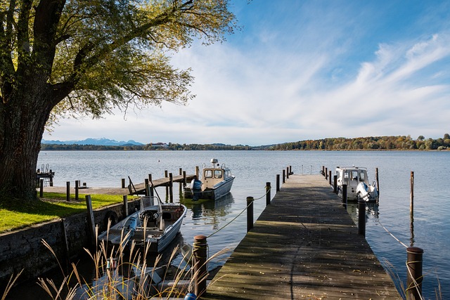 尼企业在跨 尼企业在跨