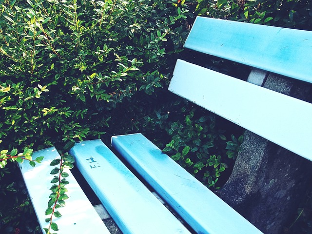 呈现了他们 呈现了他们