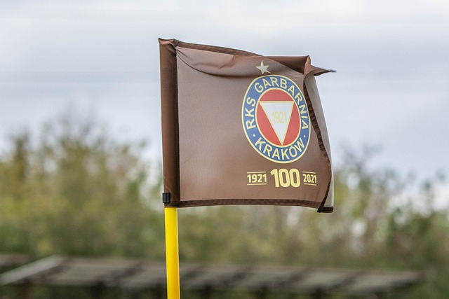 比赛的胜利 比赛的胜利