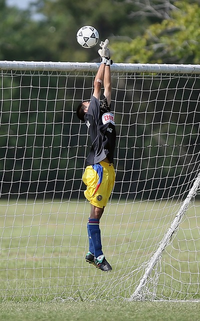 使他的球隊 使他的球隊